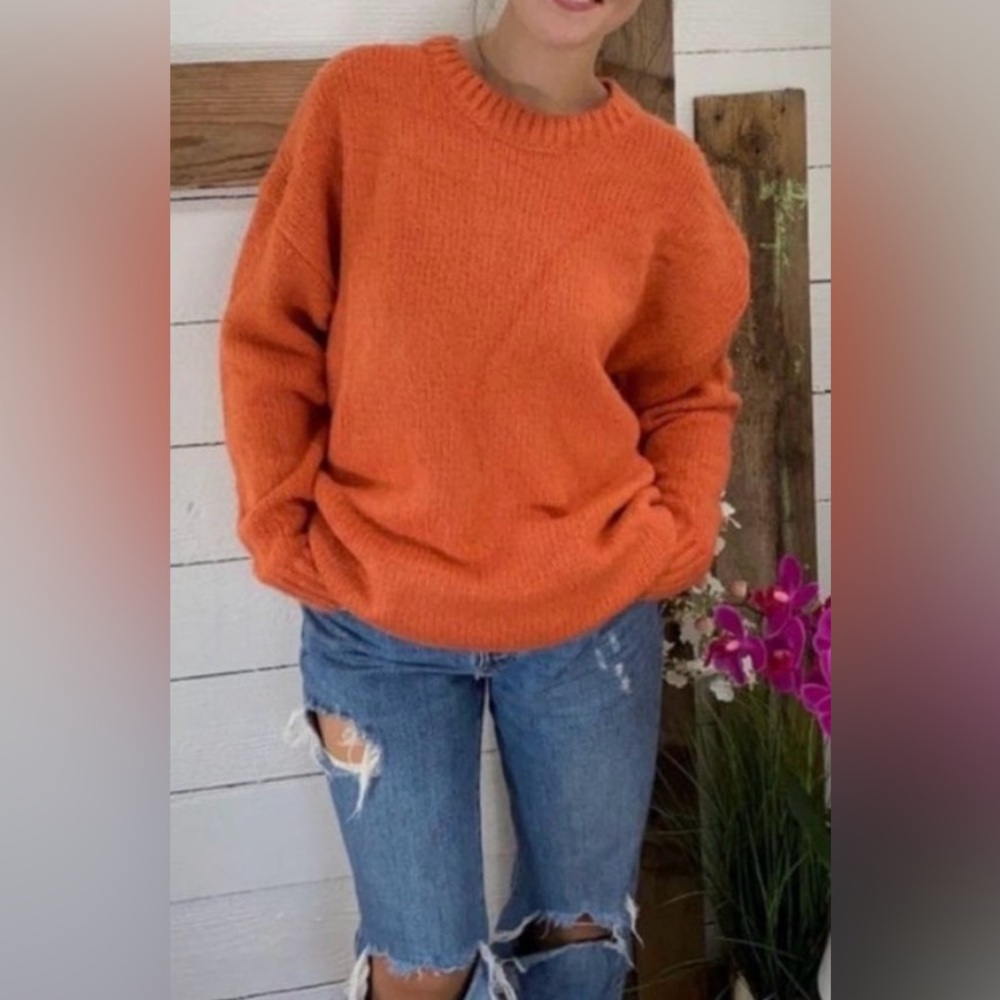 NWT Cotton Emporium Crew Neck Sweater